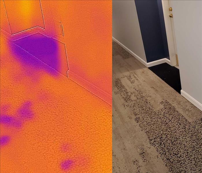 If you have water hiding in your space, we will find it with our Thermal Imaging technology. 